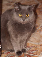 2007