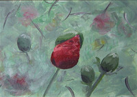 2004