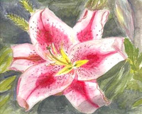 2002