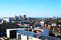 Jersey City 2014